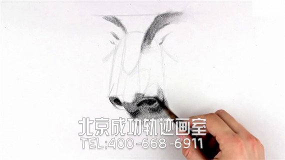 素描鼻子畫(huà)法步驟圖片教程