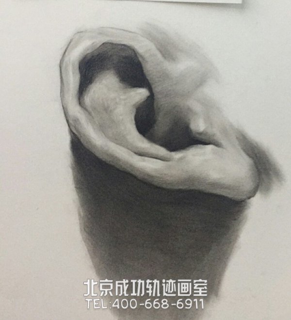 素描耳朵的畫(huà)法圖解