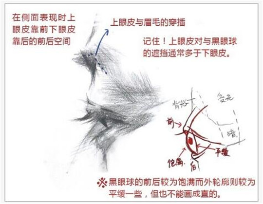 素描入門：素描眼睛精講教程